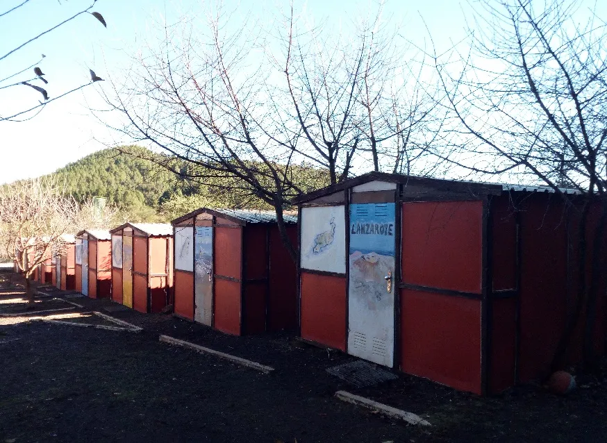 Hilera de casetas pintadas junto al pinar