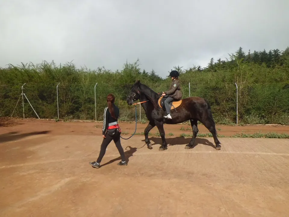 Equitación en Quimpi